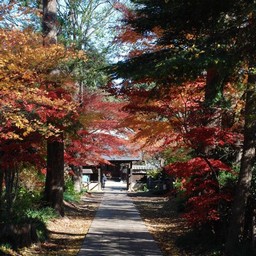 川口市・興禅院
