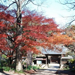川口市・興禅院
