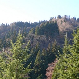 新潟県湯沢町