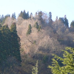 新潟県湯沢町