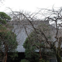 川越市