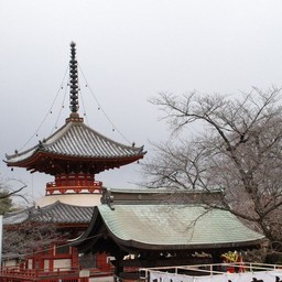 川越市