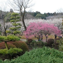 茨城県・偕楽園