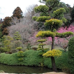 茨城県・偕楽園