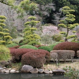茨城県・偕楽園