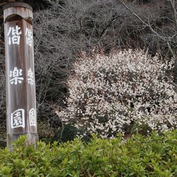 茨城県・偕楽園