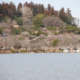 茨城県・千波湖