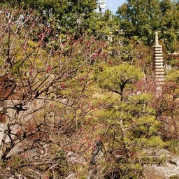 東京都池袋・目白庭園
