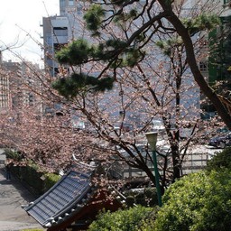 東京都池袋・護国寺