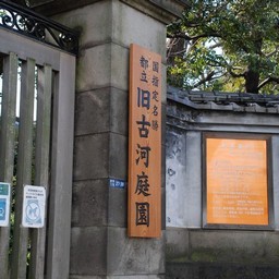 東京都池袋・旧古河庭園