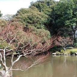 東京都池袋・旧古河庭園