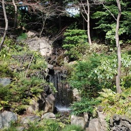 東京都池袋・旧古河庭園
