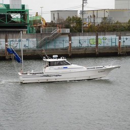 浦安市・旧江戸川