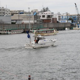 浦安市・旧江戸川