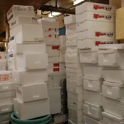 浦安市・浦安魚市場