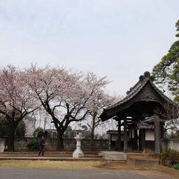 蓮田市・真浄寺