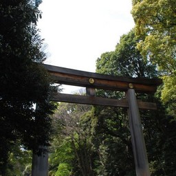 東京都・明治神宮