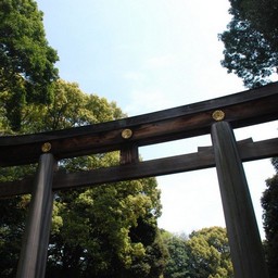 東京都・明治神宮