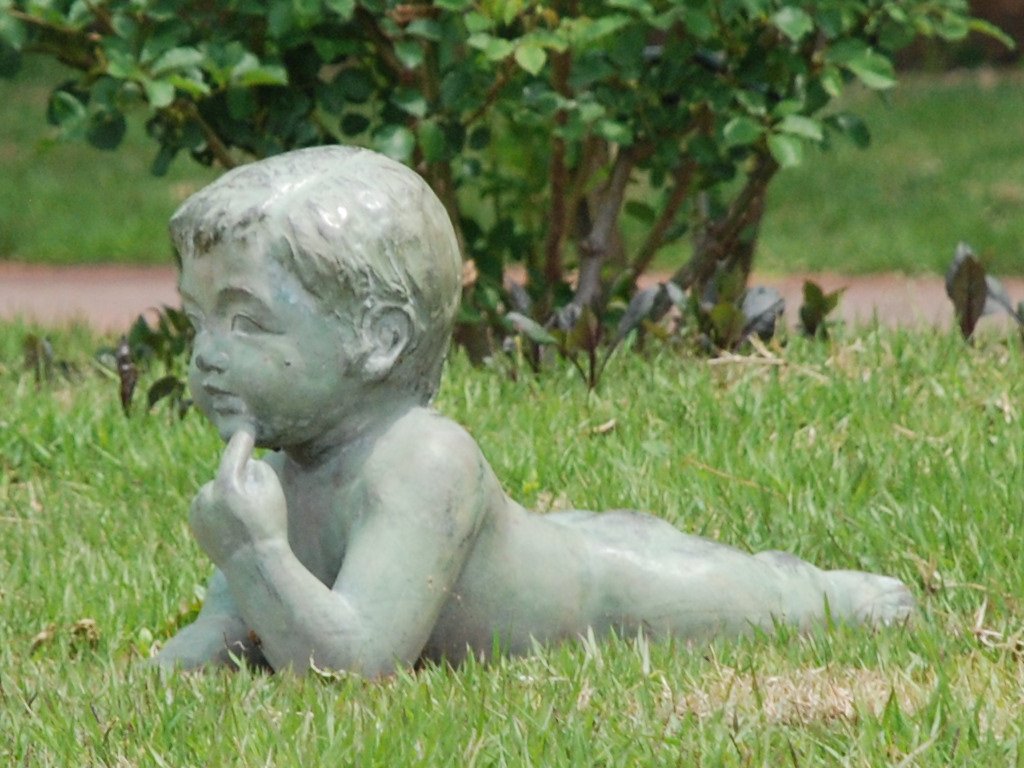 QnOsEQnЂ̉wnCLOE~ - ii{j - ʐ^f - ݃{