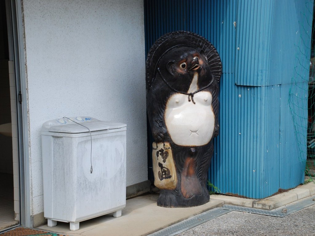 ʌsEJAݖs|Z^[ - ii{j - ʐ^f - ݃{