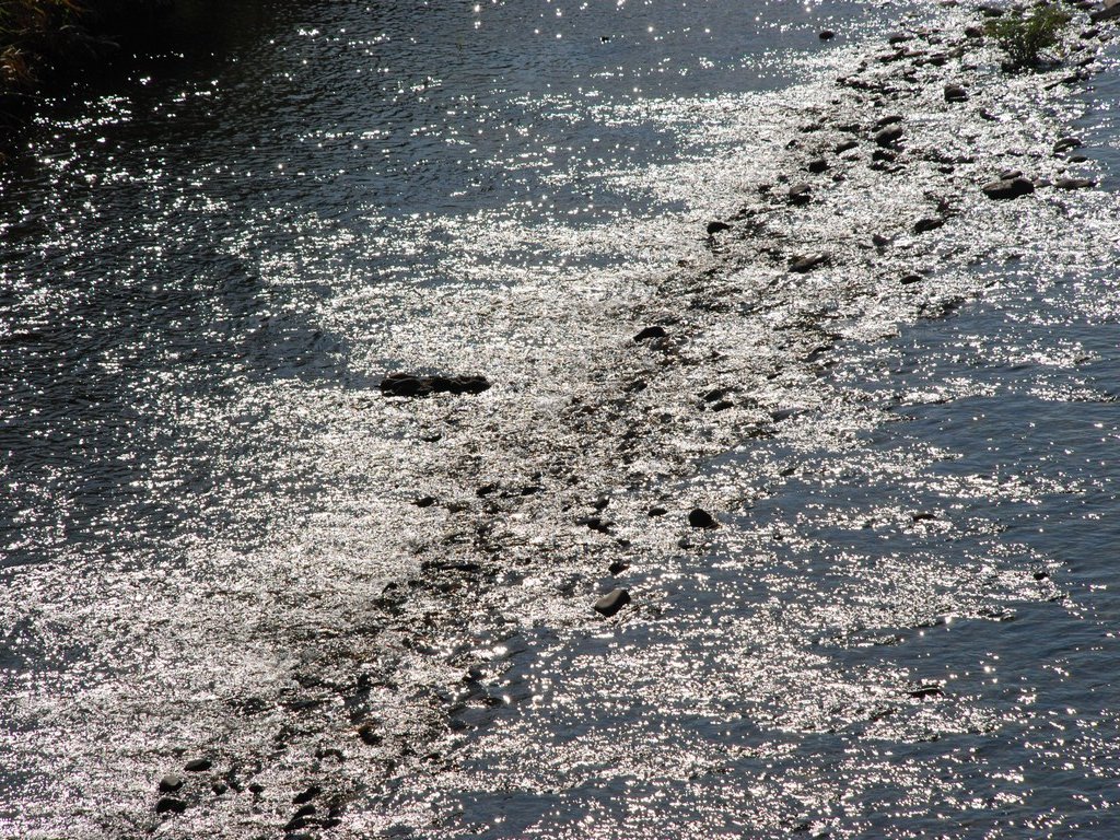 QnsEG - ii{j - ʐ^f - ݃{