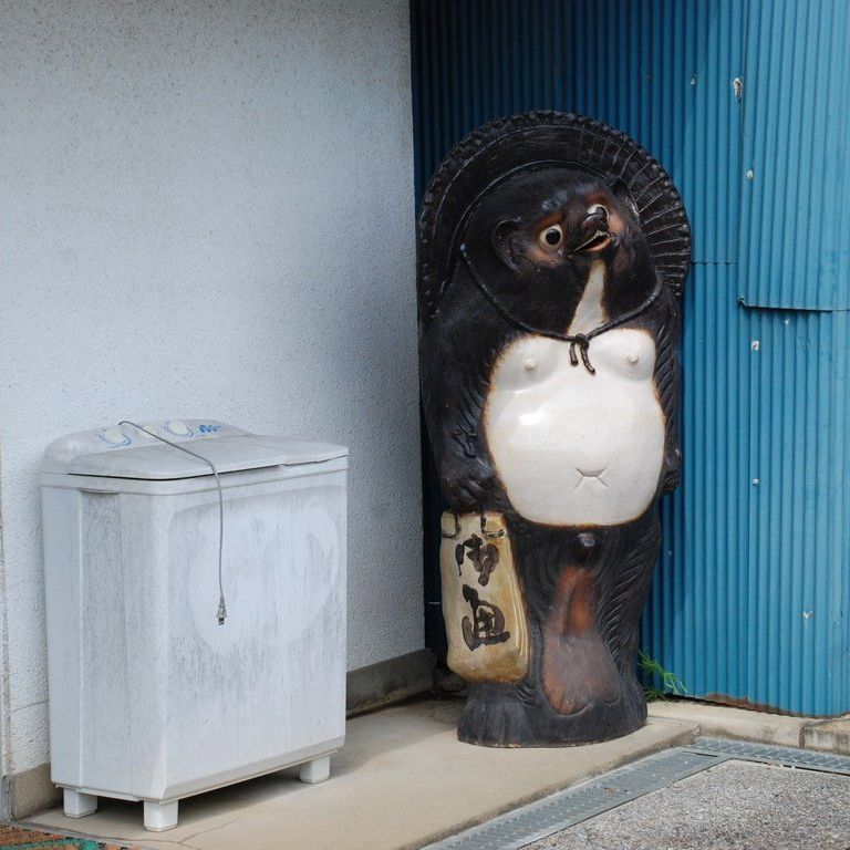 ʌsEJAݖs|Z^[ - ii{j - ʐ^f - ݃{