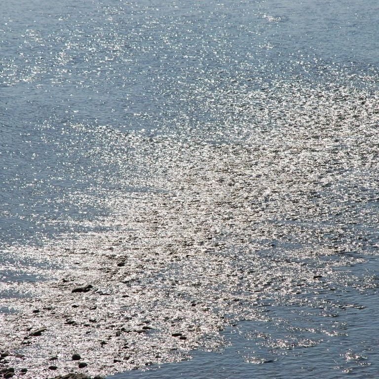 QnsEG - ii{j - ʐ^f - ݃{