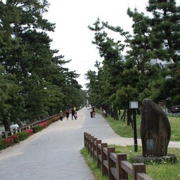 草加市・松原団地