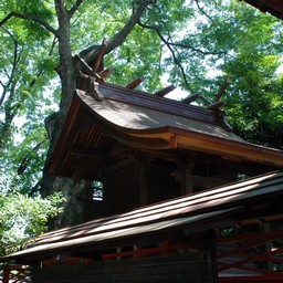 上尾市・橘神社