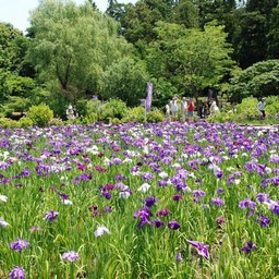上尾市・丸山公園