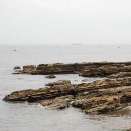 横須賀市・海岸