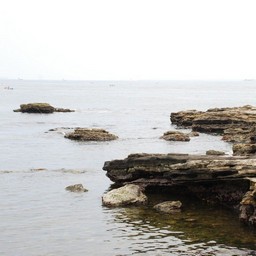 横須賀市・海岸