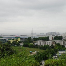 横浜市・富岡総合公園