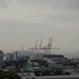 横浜市・富岡総合公園