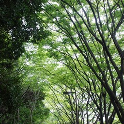 横浜市・金沢緑地