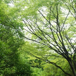 横浜市・金沢緑地