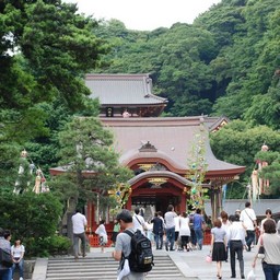 鎌倉市・鶴岡八幡宮