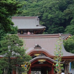 鎌倉市・鶴岡八幡宮