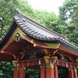 鎌倉市・鶴岡八幡宮