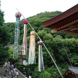 鎌倉市・鶴岡八幡宮