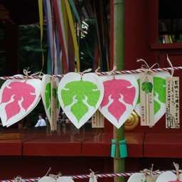鎌倉市・鶴岡八幡宮