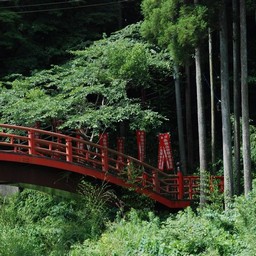 千葉県・養老渓谷