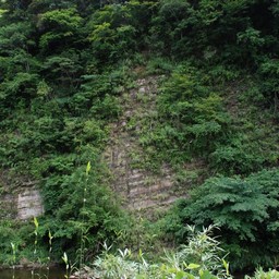 千葉県・養老渓谷