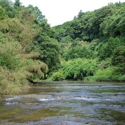 千葉県・養老渓谷