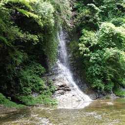 千葉県・養老渓谷