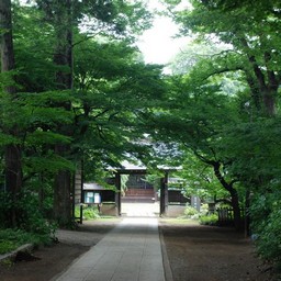 川口市・興禅院
