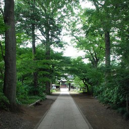川口市・興禅院