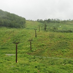 長野県小谷村・栂池高原