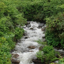 長野県小谷村・栂池高原