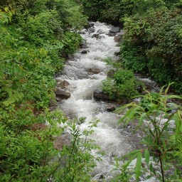 長野県小谷村・栂池高原